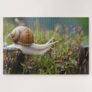 Buscar del caracol puzzles General y unisex