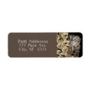 Buscar owl etiquetas Pájaros