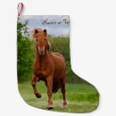 Buscar tölt Caballo