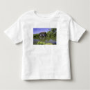 Buscar despejado camisetas Lago