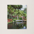 Buscar madeira fotografía Paisaje