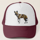 Buscar sabana gorras Safari