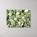 Buscar variedades lienzos Mineral