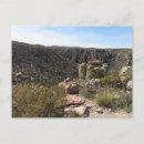 Buscar chiricahua postales Formaciones rocosas