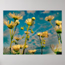 Buscar dandelion arte Macro