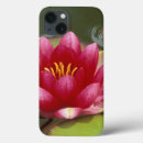 Buscar rose ipad fundas Woodland park zoo