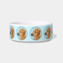 Buscar rhodesian mascotas Paro