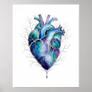 Buscar corazón anatómico posters Moderno