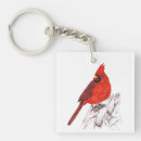 Buscar cardinal llaveros Pájaros