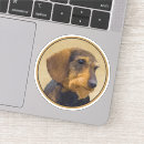 Buscar jabalí pegatinas Dachshund