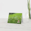 Buscar gnomo del jardín tarjetas Para todos