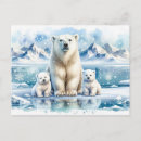 Buscar osos polares postales Nieve