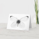 Buscar del estudio tarjetas Fotografía