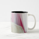 Buscar materia textil tazas Integral