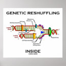 Buscar biólogos posters General y unisex