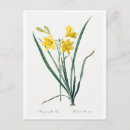 Buscar croc postales Flor