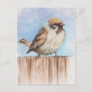 Buscar gorriones postales Pájaro