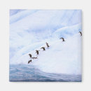 Buscar oxford imanes Océano