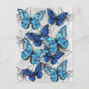 Buscar mariposa postales Azul