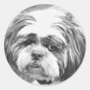 Buscar shih tzu pegatinas Adorable