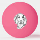 Buscar perros pelotas de ping pong Dachshund