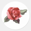 Buscar flor rosa roja pegatinas Prometida