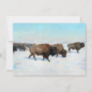 Buscar bisonte tarjetas Nieve