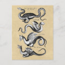 Buscar símbolo medieval postales Dragón