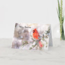 Buscar enebro tarjetas Nieve