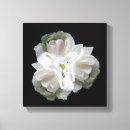 Buscar gotas de lluvia lienzos Rosa