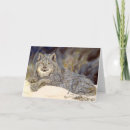 Buscar lince tarjetas Acuarela