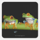 Buscar ranas pegatinas Verde