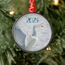 Buscar gansos adornos Vida silvestre