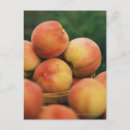 Buscar fresco postales Fruta