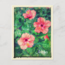 Buscar hibiscus postales Isla