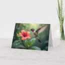Buscar colibríes tarjetas Tropical