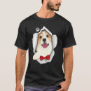 Buscar corgi ropa Adorable