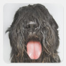 Buscar lengua animal pegatinas Vista frontal