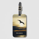 Buscar gaviota accesorios Océano