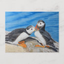 Buscar ataúd postales Animal