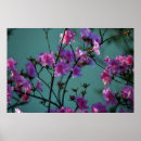 Buscar azalea rosa arte Flor