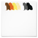 Buscar oso gay posters Arco iris