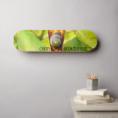 Buscar caracol tablas de skate 7 º concha
