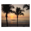 Buscar palm tree sunset arte Palmera