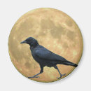Buscar luna del cuervo imanes Pájaro