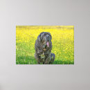 Buscar mastiff arte Amante de los perros