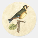 Buscar aviar pegatinas Doméstico