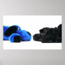 Buscar caniche negro posters Lindo