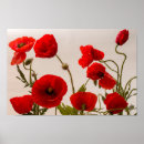 Buscar amapolas rojas posters Rojo