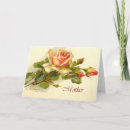 Buscar catherine klein tarjetas Rosas